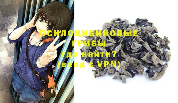 стафф Протвино