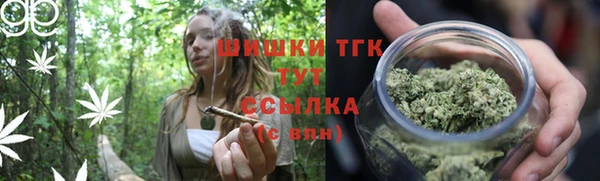 стафф Протвино
